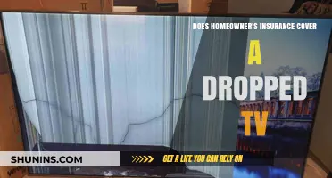 Homeowner's Insurance: Dropped TV Covered?