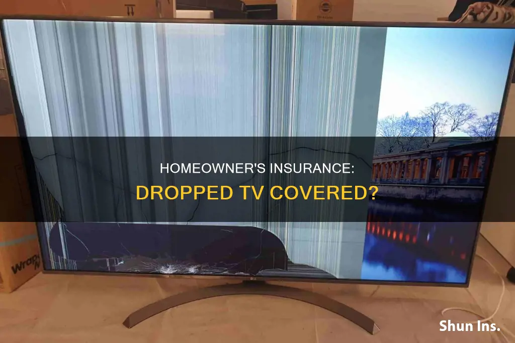 does homeowner