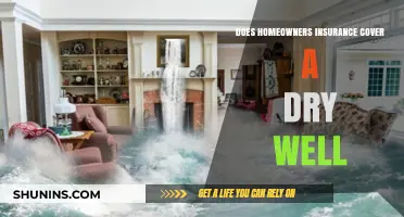 Homeowners Insurance: Dry Well Coverage?