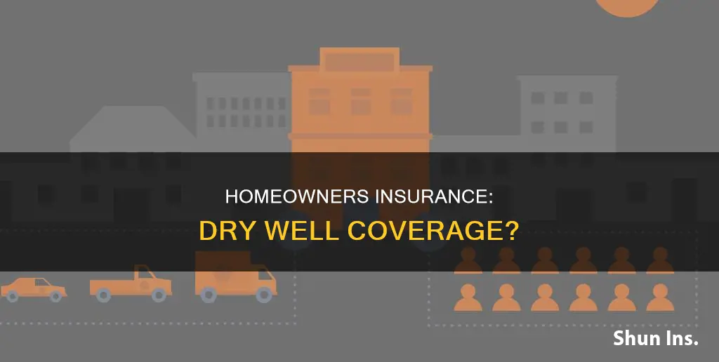 does homeowners insurance cover a dry well