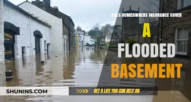 Basement Flooding: Is Your Homeowners Insurance Enough?