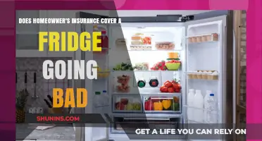Homeowner's Insurance: Fridge Breakdown Coverage?