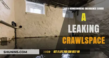 Home Insurance: Does It Cover Crawlspace Leaks?