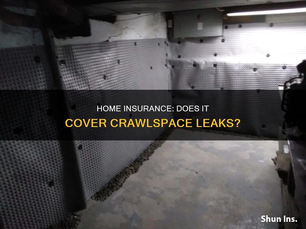 does homeowners insurance cover a leaking crawlspace