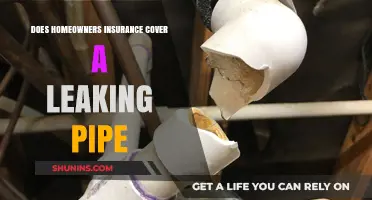 Home Insurance: Leaking Pipe Coverage?
