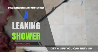 Home Insurance: Leaking Shower Covered?