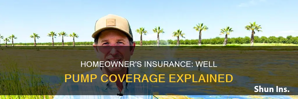 does homeowner