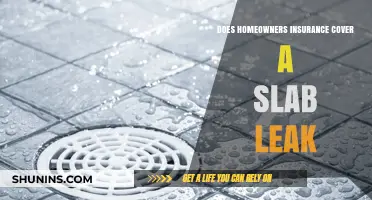 Homeowners Insurance: Slab Leak Coverage Explained