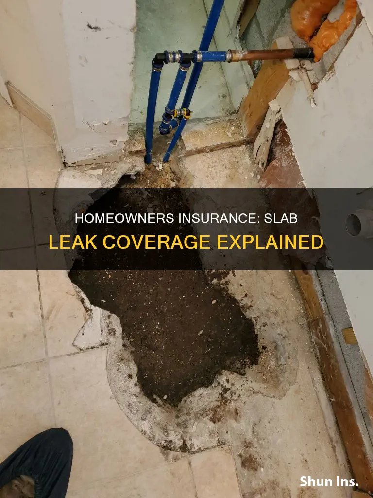 does homeowners insurance cover a slab leak