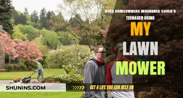 Home Insurance: Teen Lawn Mowing Covered?