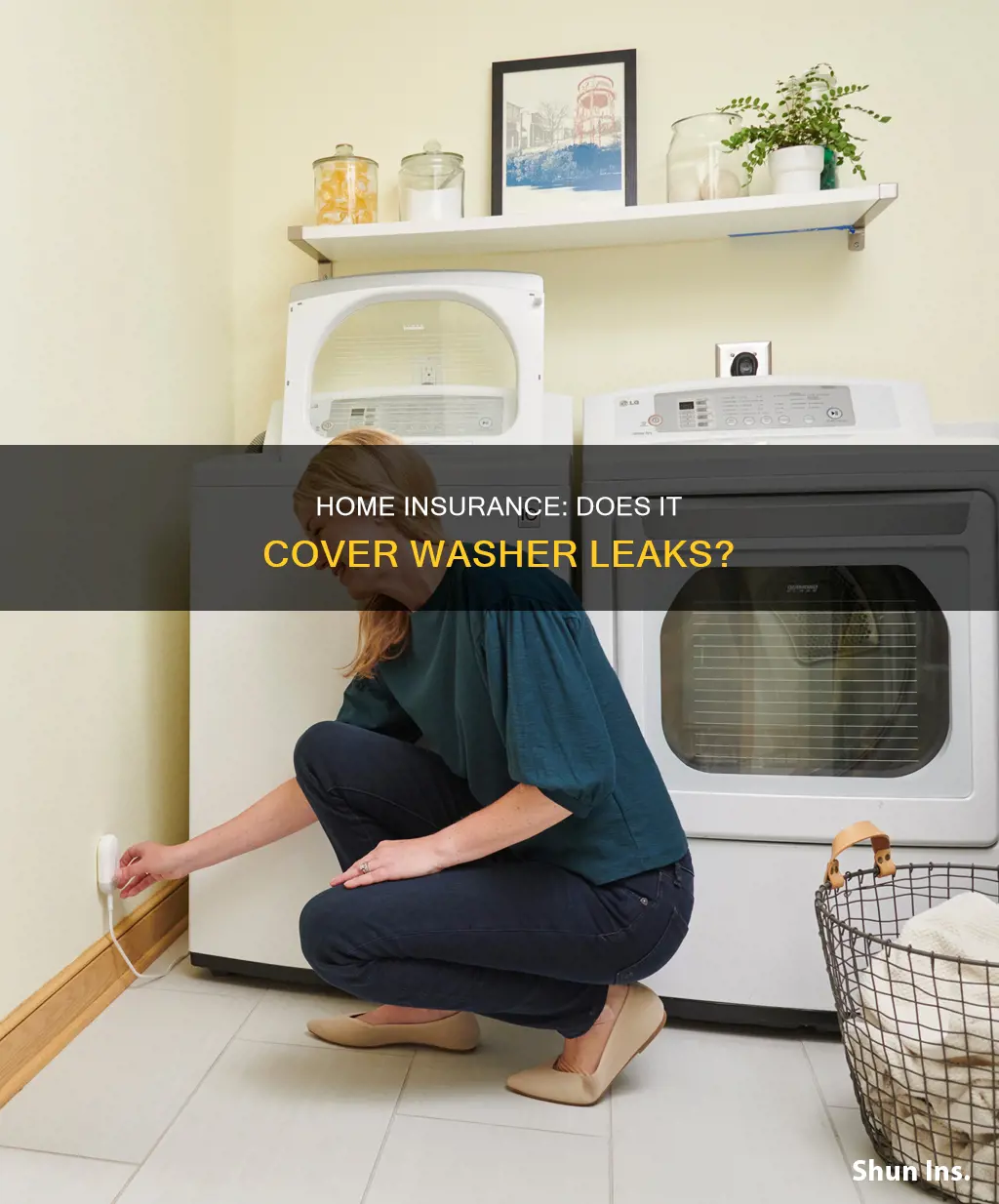 does homeowners insurance cover a washer machine leak