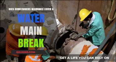 Homeowners Insurance: Water Main Break Coverage?