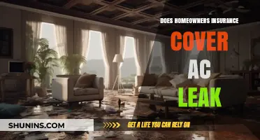 Homeowners Insurance: AC Leak Coverage?