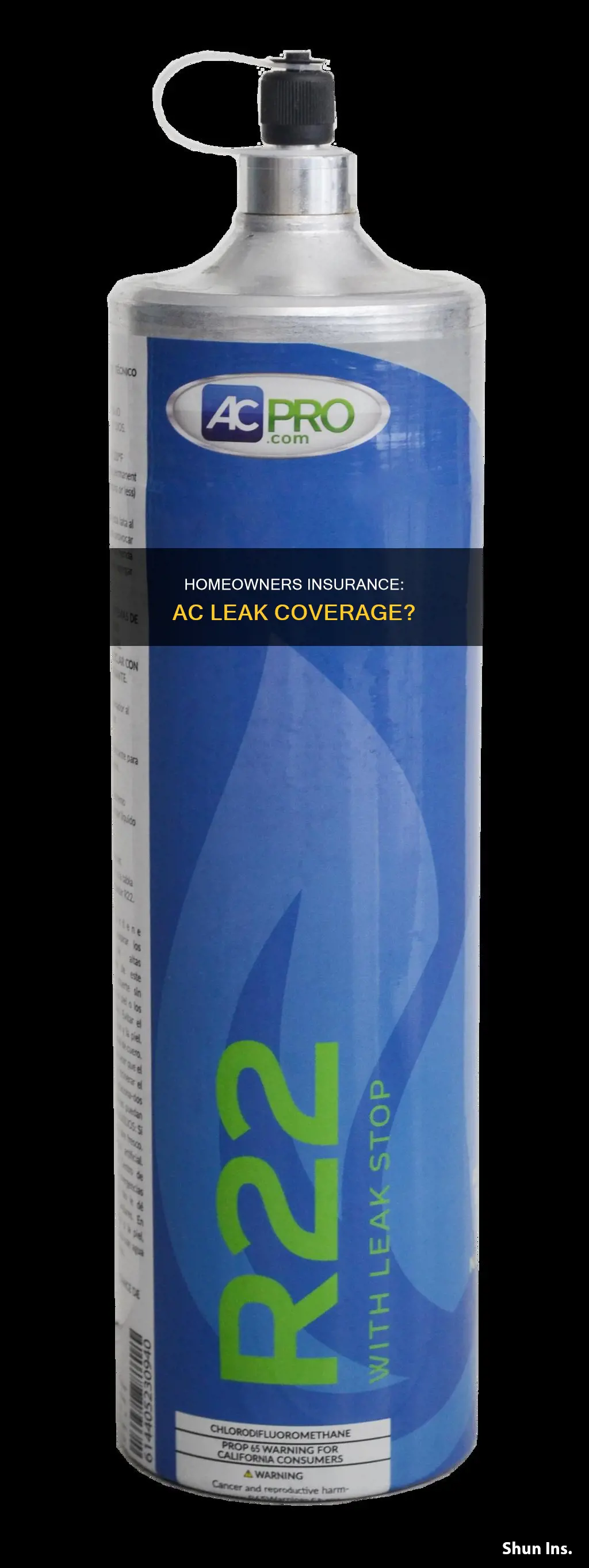 does homeowners insurance cover ac leak