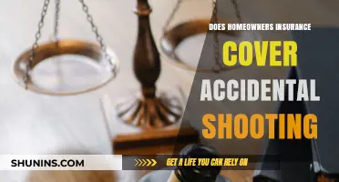 Home Insurance: Accidental Shooting, What's Covered?