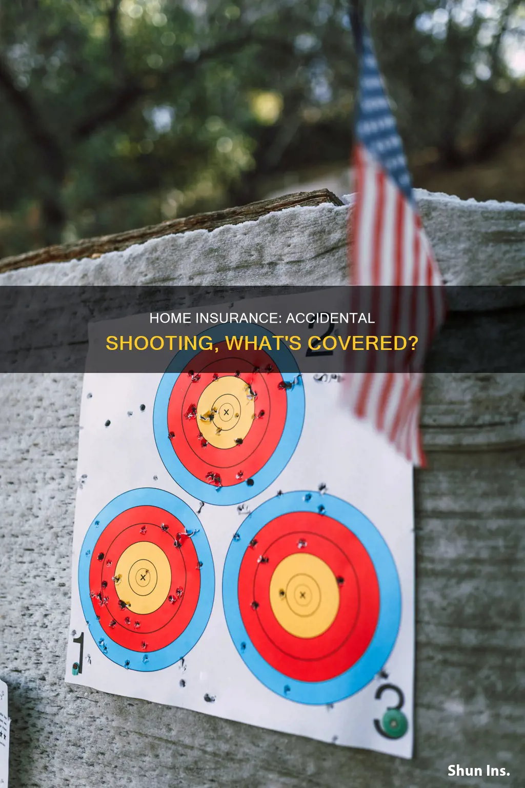 does homeowners insurance cover accidental shooting