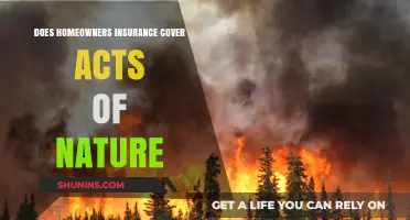 Home Insurance: Natural Disasters Covered?