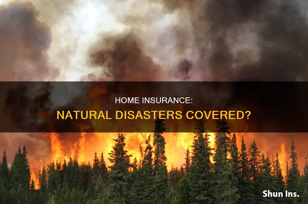 does homeowners insurance cover acts of nature