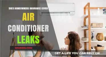 Home Insurance: AC Leaks Covered?