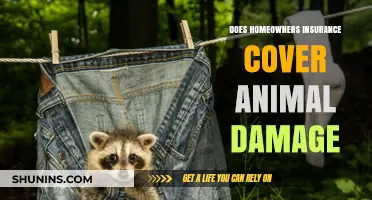Home Insurance: Animal Damage Coverage Explained
