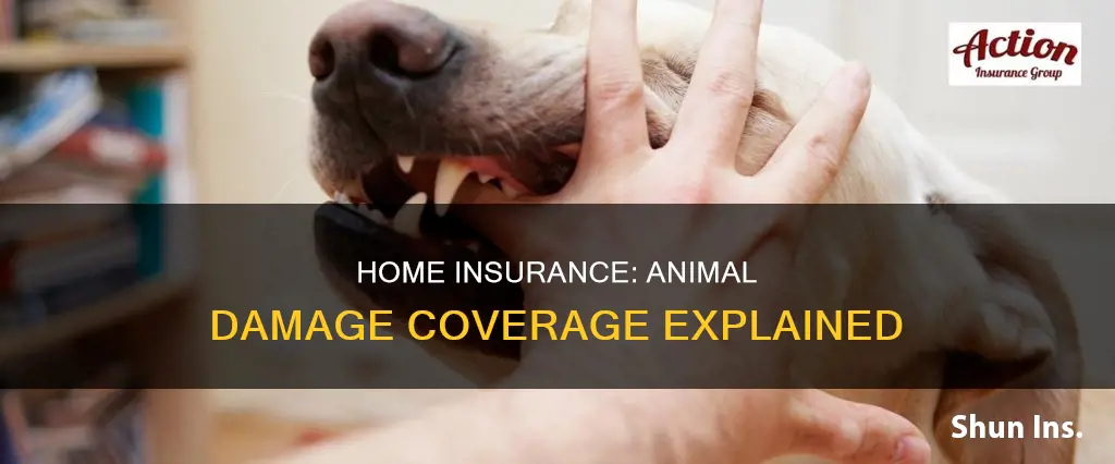 does homeowners insurance cover animal damage