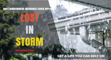 Home Insurance: Storm Damage and Appliance Coverage