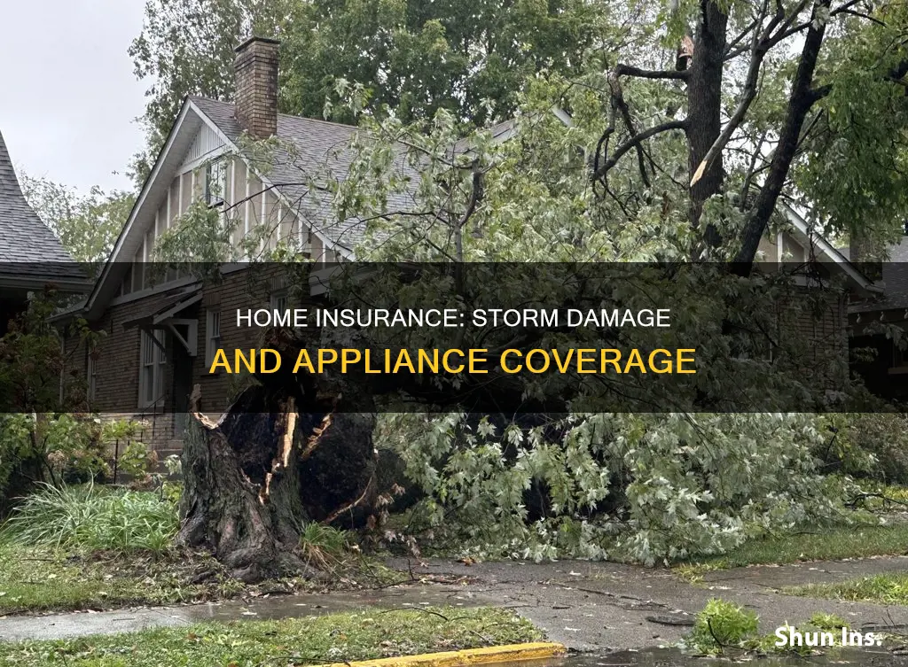 does homeowners insurance cover appliance lost in storm