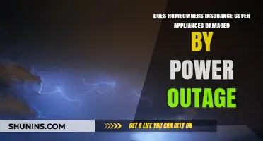 Home Insurance: Power Outage and Appliance Damage Coverage