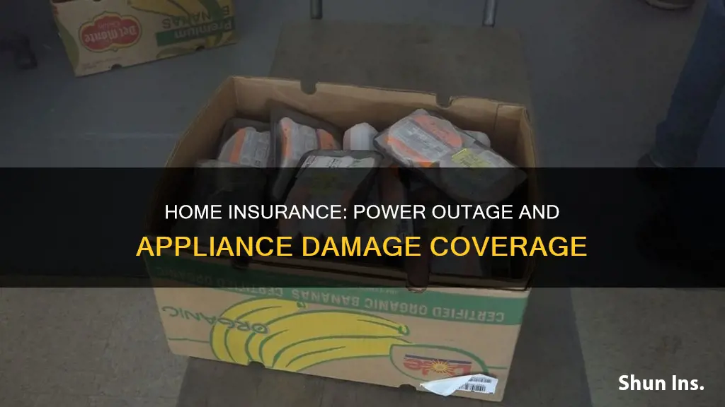 does homeowners insurance cover appliances damaged by power outage