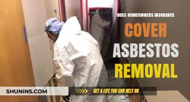 Asbestos Removal: Is Your Homeowners Insurance Enough?
