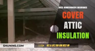 Homeowners Insurance: Does It Cover Attic Insulation?