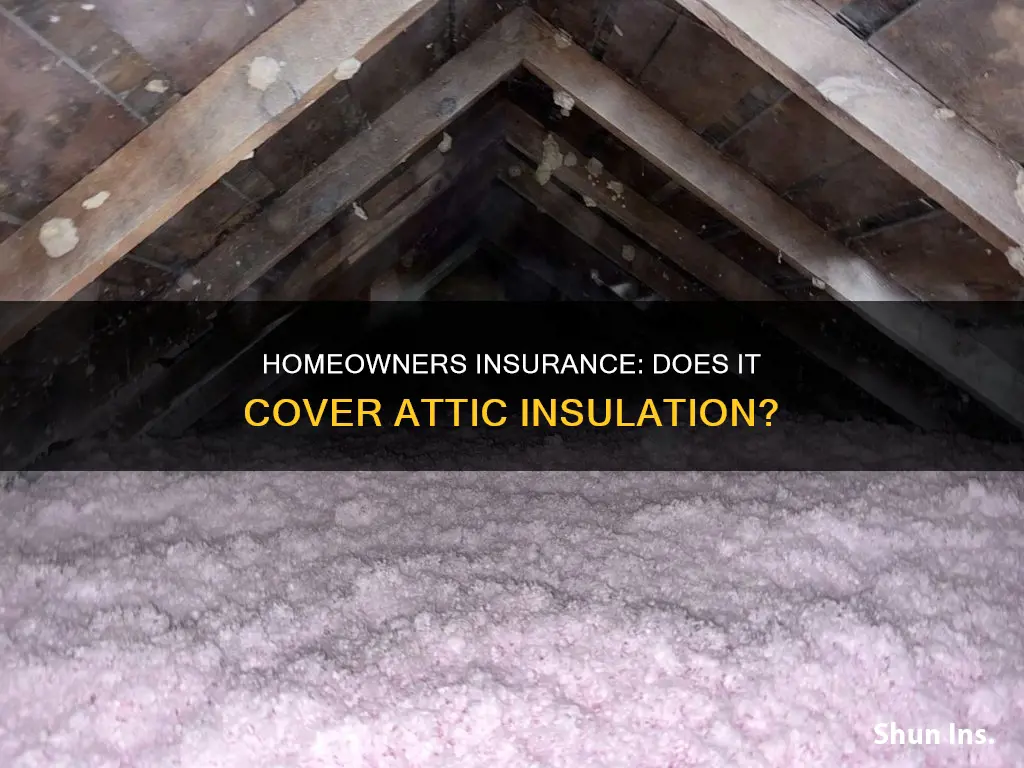 does homeowners insurance cover attic insulation