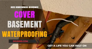 Basement Waterproofing: Is Homeowners Insurance Enough?