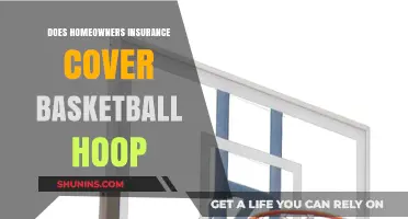 Home Insurance: Basketball Hoop Coverage