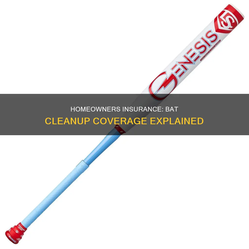 does homeowners insurance cover bat cleanup