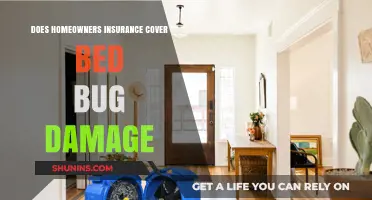 Bed Bug Damage: Is Your Homeowners Insurance Useless?