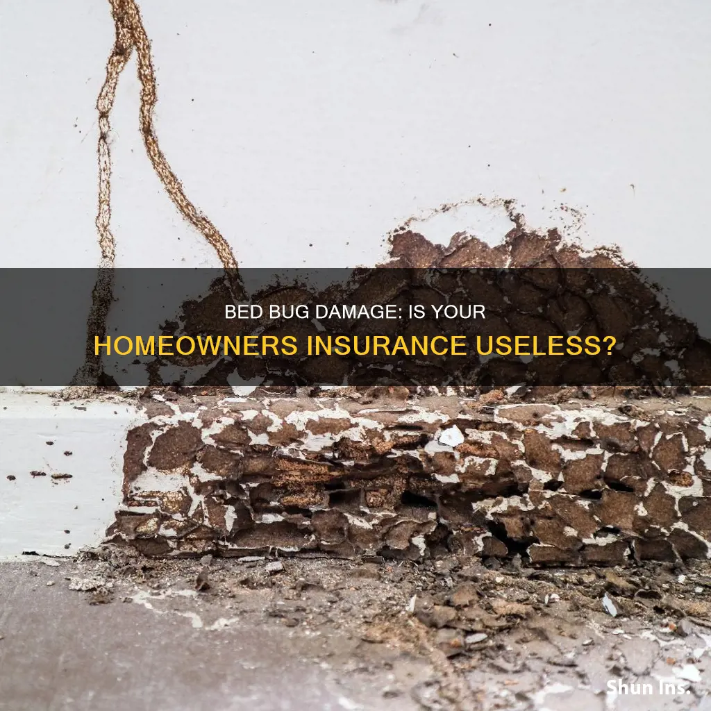 does homeowners insurance cover bed bug damage
