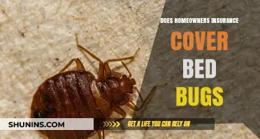 Home Insurance: Bed Bug Damage Covered?