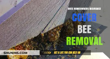 Homeowners Insurance: Bee Removal Covered?