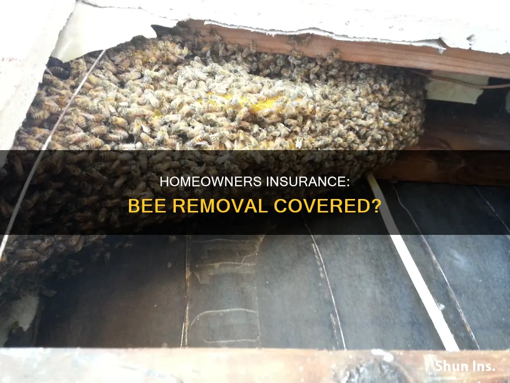 does homeowners insurance cover bee removal