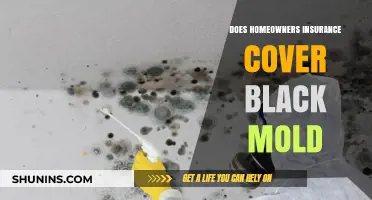 Home Insurance: Black Mold Covered?