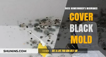 Homeowner's Insurance: Black Mold Covered?
