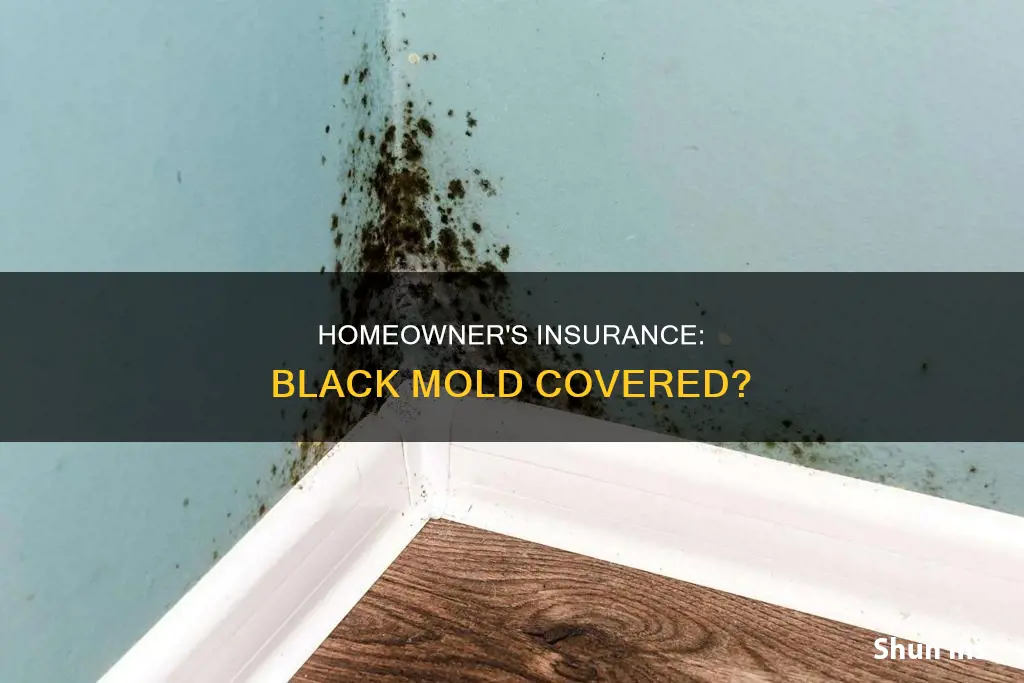 does homeowner