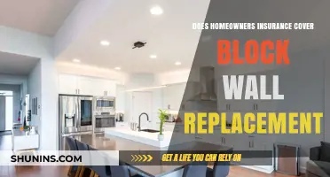 Homeowners Insurance: Block Wall Replacement Covered?