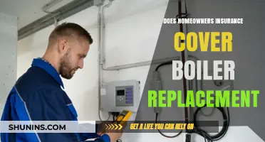 Homeowners Insurance: Boiler Replacement Coverage?