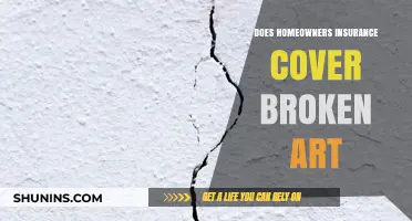Home Insurance: Broken Art Covered?