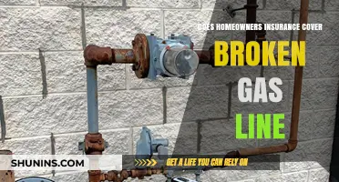 Homeowners Insurance: What's Covered for Broken Gas Lines?