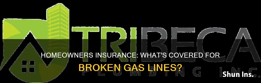 does homeowners insurance cover broken gas line