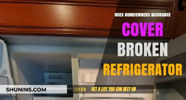Home Insurance: Broken Fridge Covered?