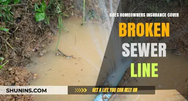 Homeowners Insurance: What's Covered for Broken Sewer Lines?
